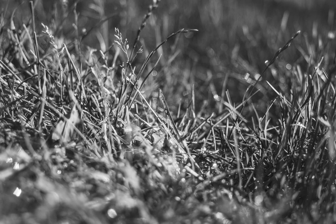 Sit et et earum aliquid non